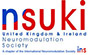 Nsuki logo