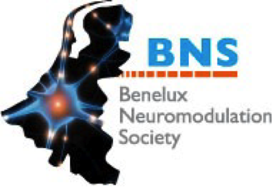 BNS logo